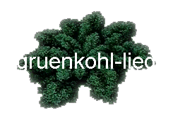  gruenkohl-lied 