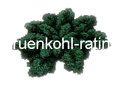 gruenkohl-rating 